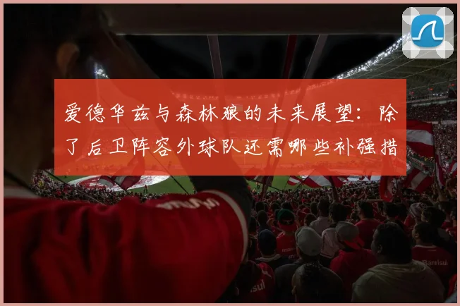 爱德华兹与森林狼的未来展望：除了后卫阵容外球队还需哪些补强措施
